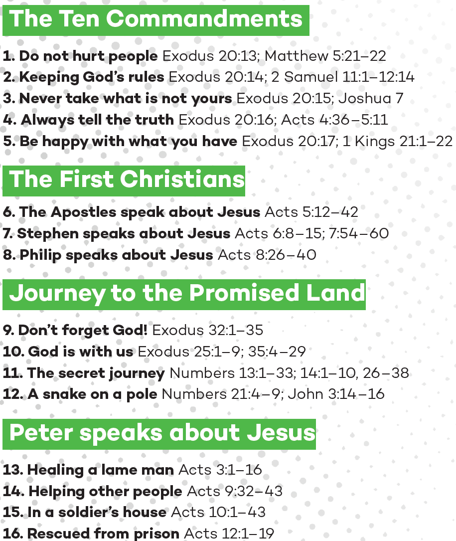 Book 6 - Beginners - Teachers Guide