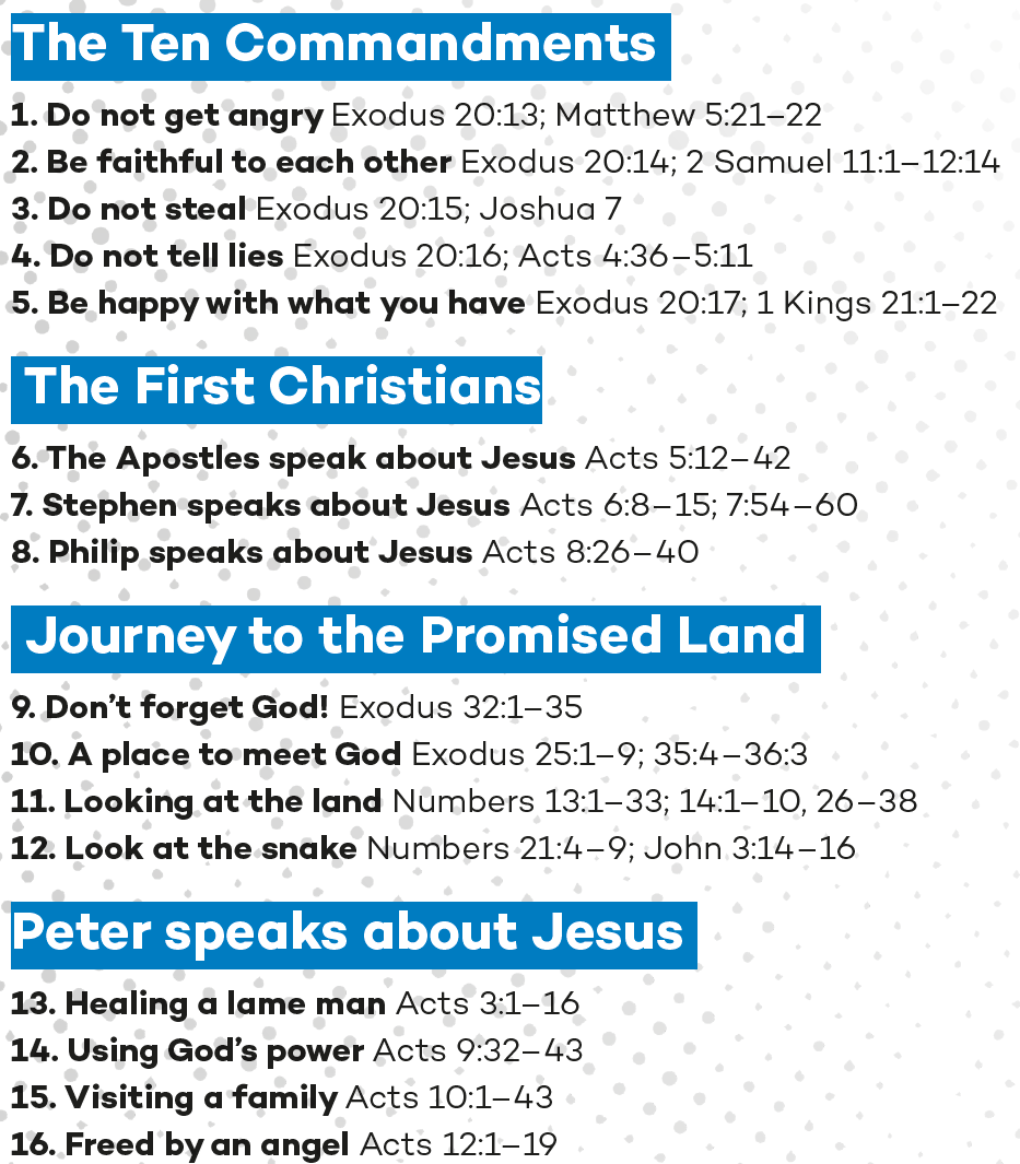 Book 6 - Primaries - Teachers Guide