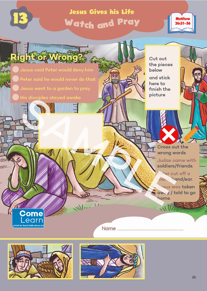 Book 11  - Primaries - Activity Sheets